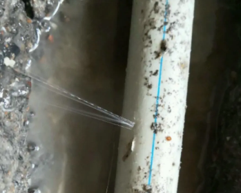 麻章卫生间测漏水多少钱